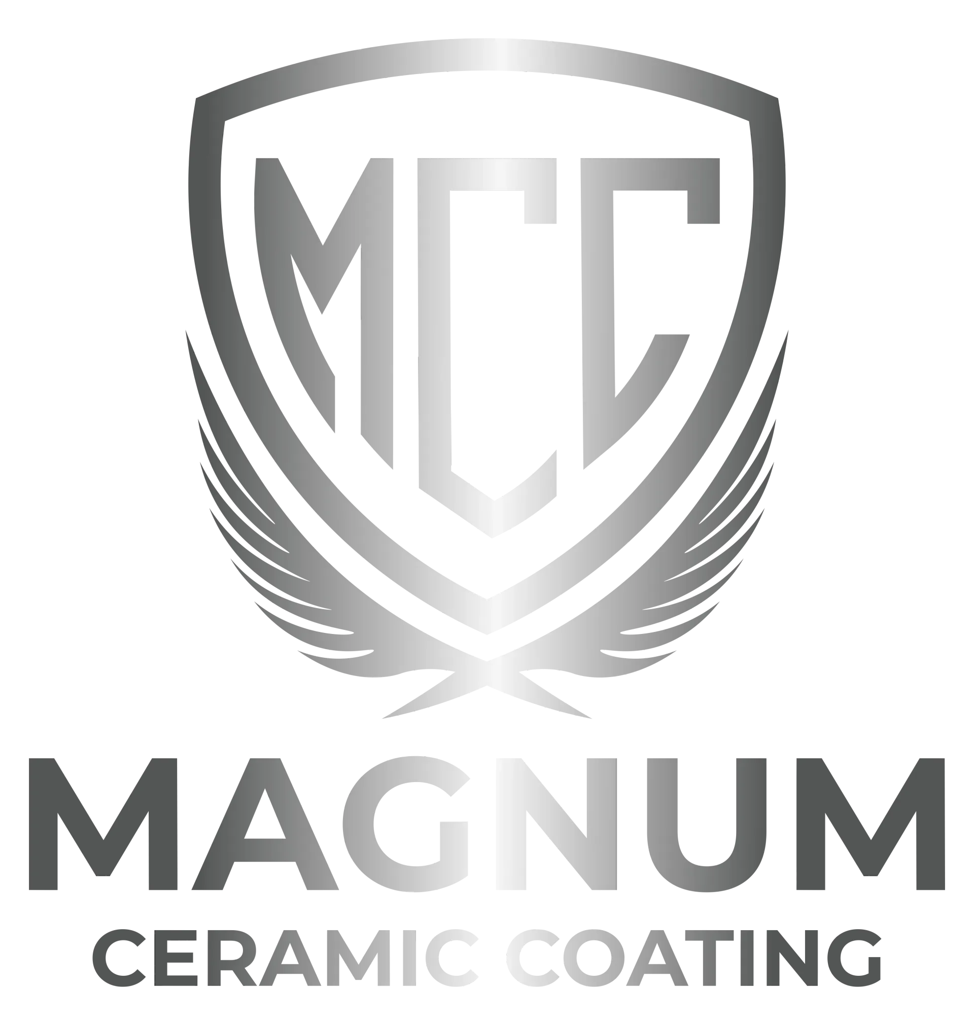 Silver logo: