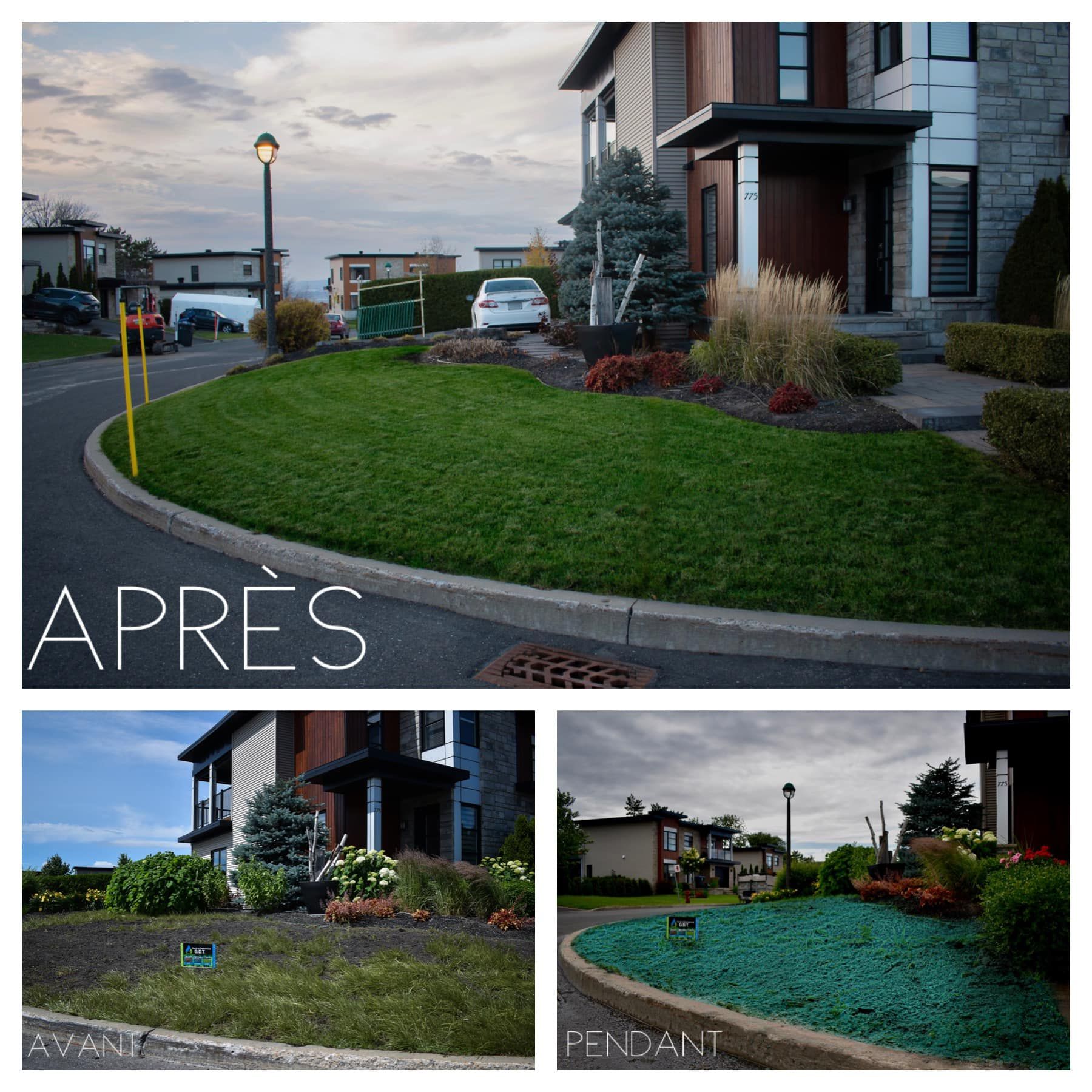 Un collage de trois photos d'une pelouse avant et après avoir été fertilisée