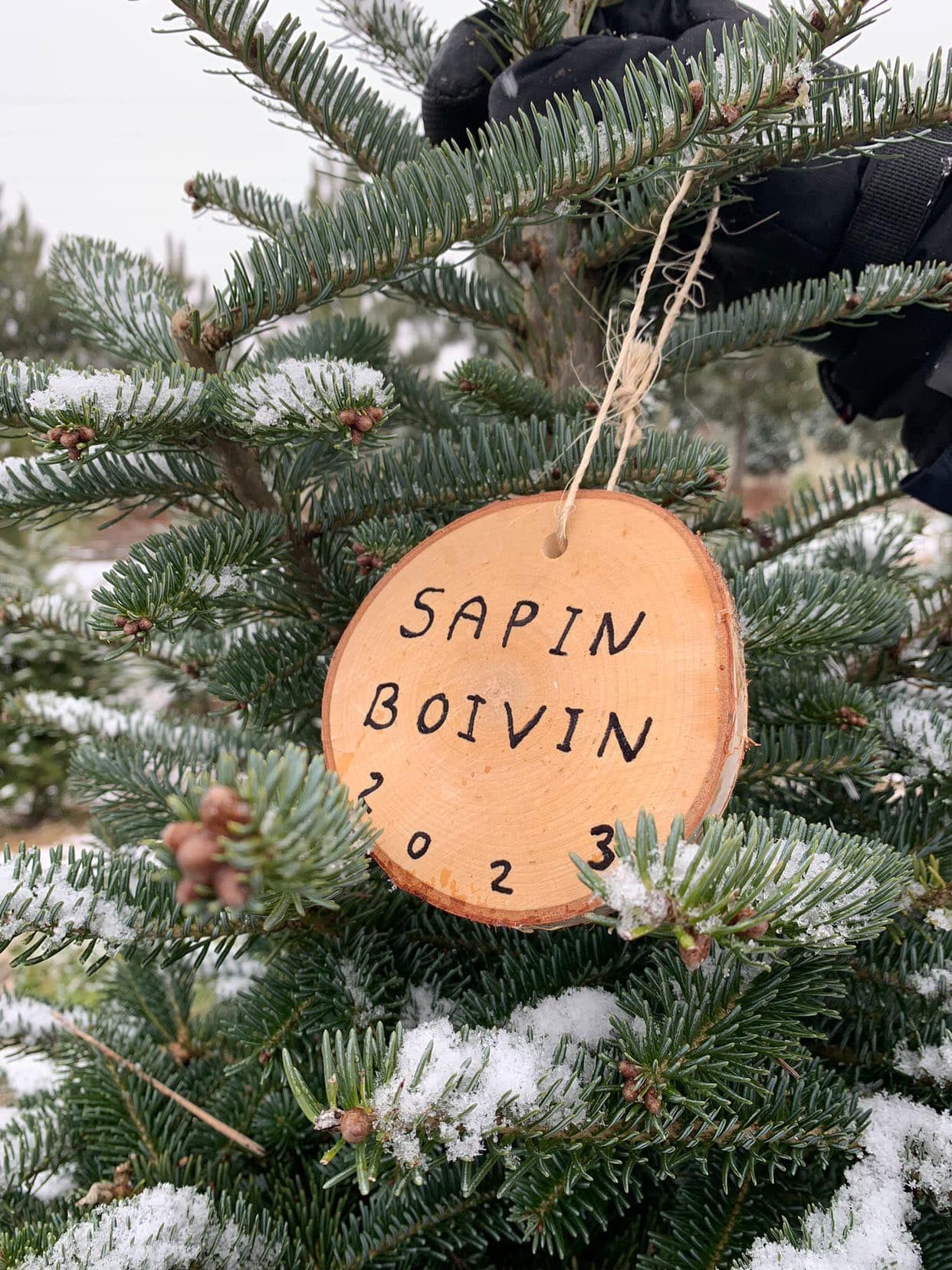 Une décoration en bois est accrochée à un sapin enneigé, portant l'inscription « SAPIN BOIVIN 2023 » au marqueur noir.