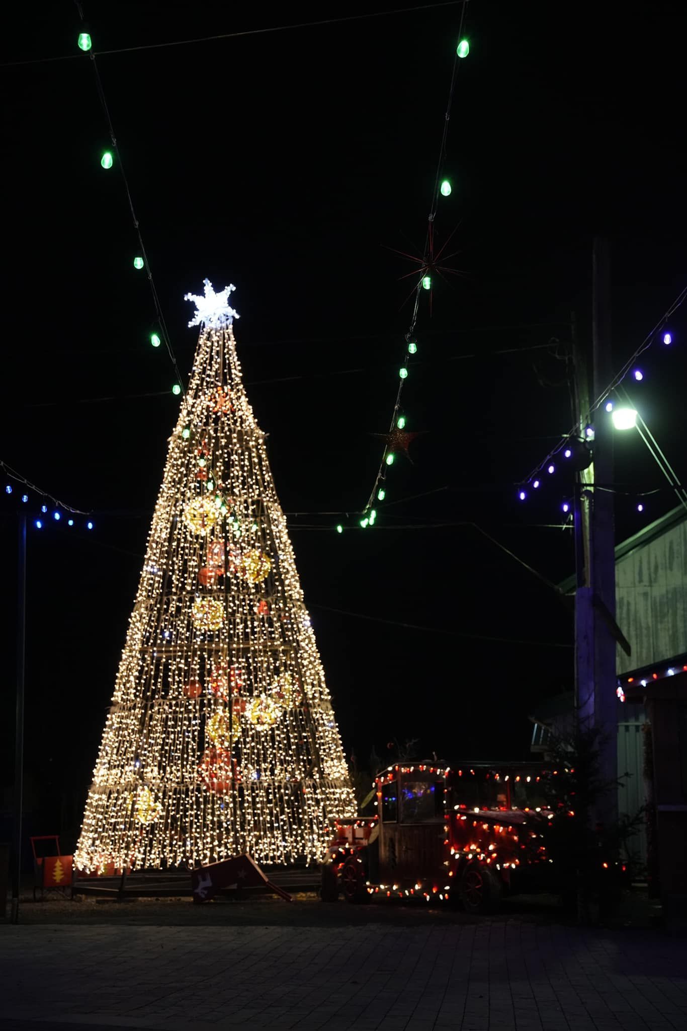 Un grand sapin de Noël est illuminé la nuit avec une étoile au sommet.
