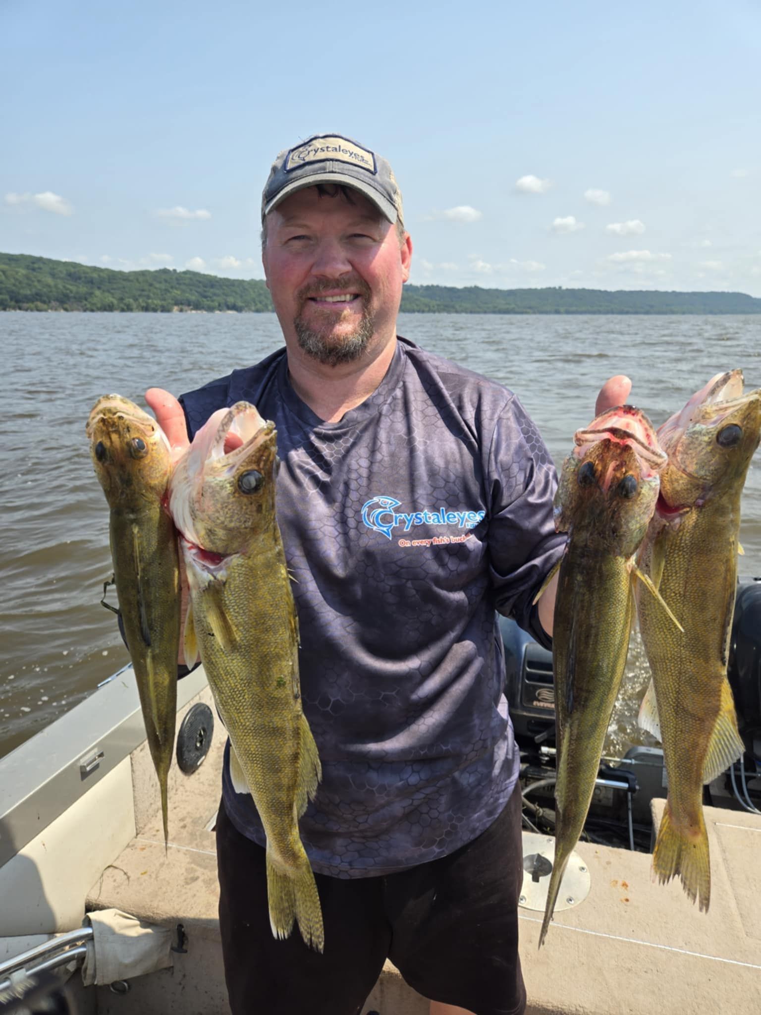 Man on a boat holding up four walleye fish. Sunny day on the water.