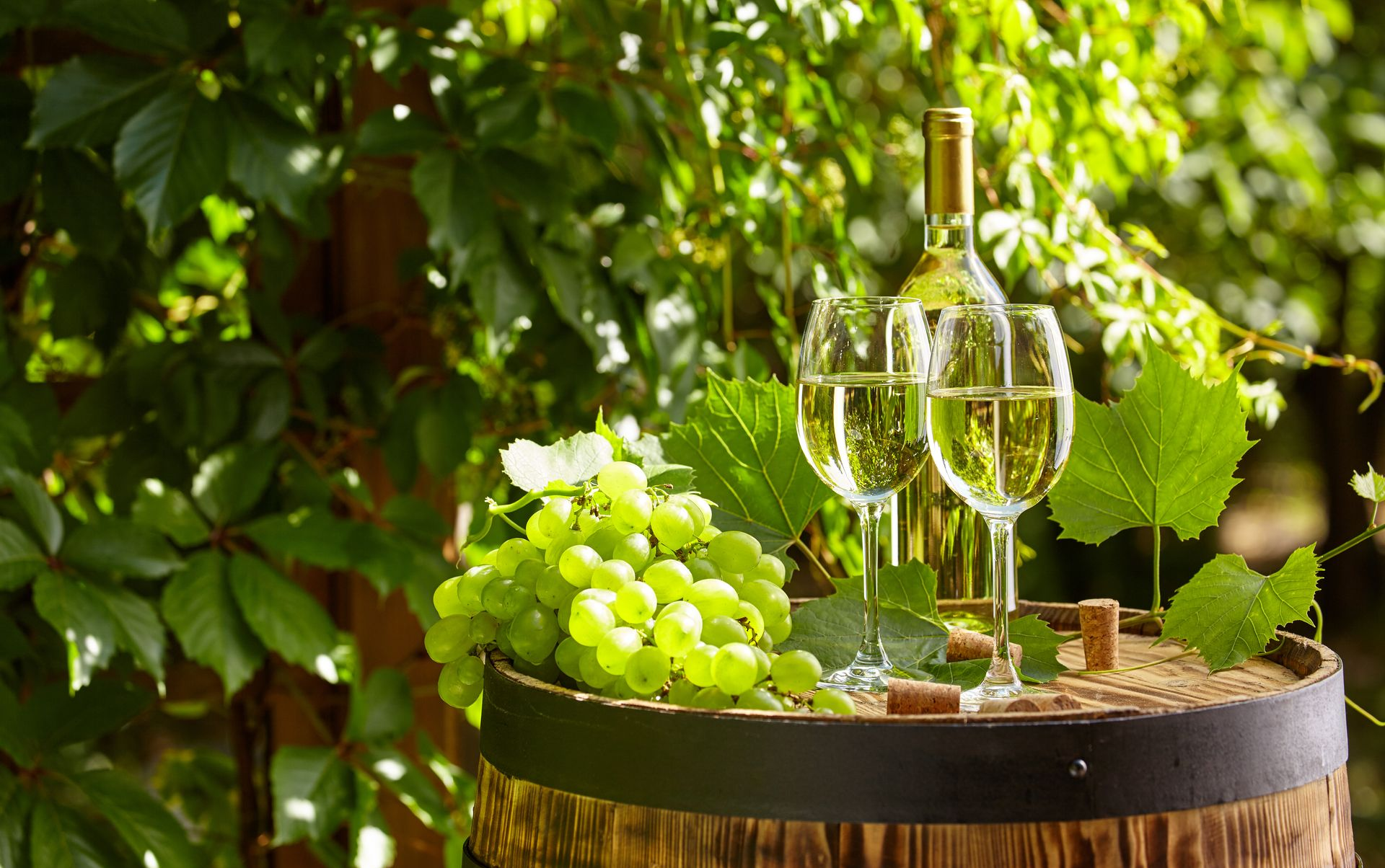 White wine and grapes on a barrel, next to greenery.