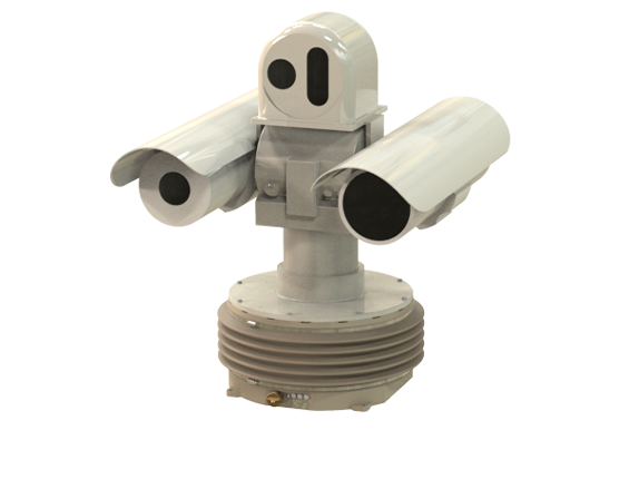 RSM 50