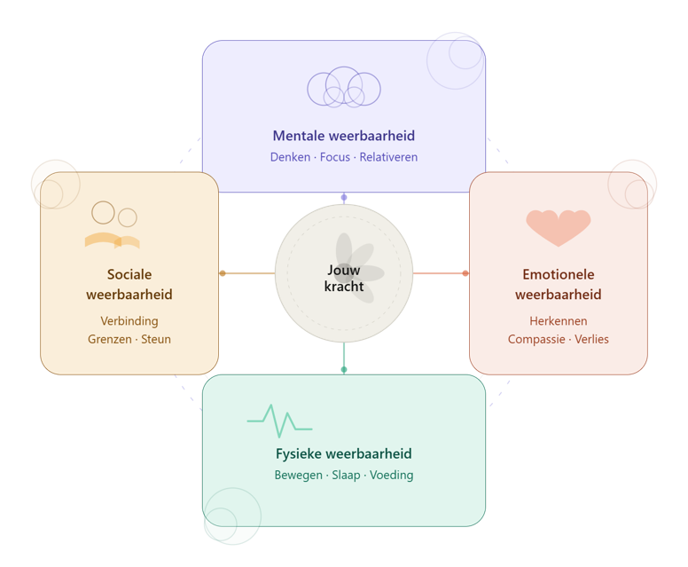schema