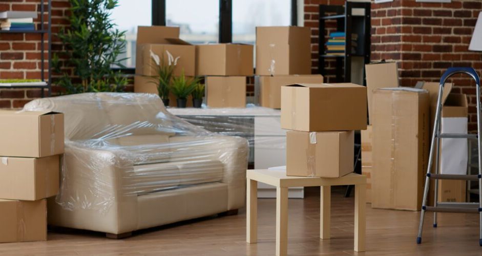 Office with cardboard boxes, a desk, a shelving unit, and plants, likely in the process of moving.