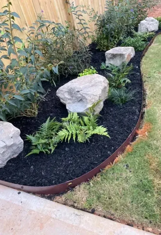 Curved garden bed with black mulch, ferns, large rocks, and a wooden border beside a lawn