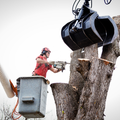 Worker in a bucket lift uses a chainsaw to trim a large tree branch