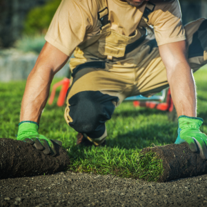 Worker laying fresh sod on a lawn with bright green gloves and rolled turf strips at the edges