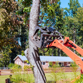 Orange excavator arm gripping a tree trunk in a suburban yard, with a house and fence in the background.