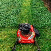 Red lawn mower on a grassy slope with a black bag attached.