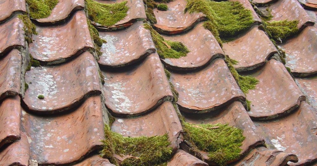 Weathered terracotta roof tiles with patches of green moss