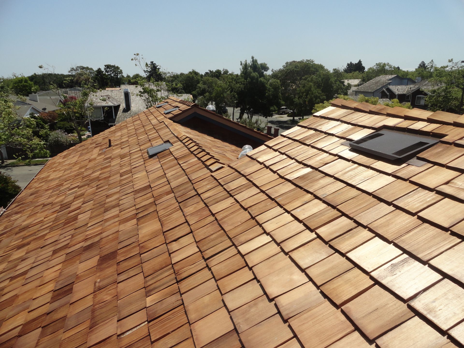 Terracotta tile rooftops in a sunny neighborhood with trees and a distant water view