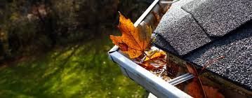 Orange leaves in a gutter beside a gray shingled roof, with green yard below.