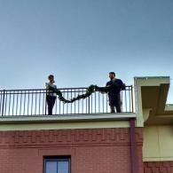Two people on a rooftop balcony holding a long green garland against the sky.