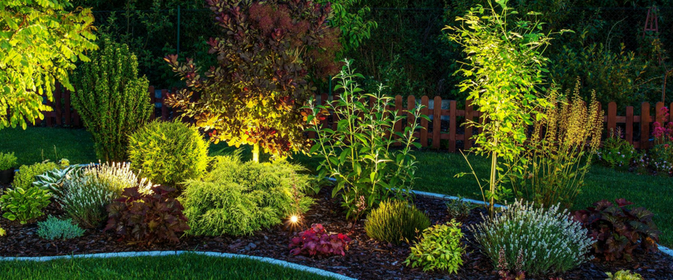 Colorful landscaped garden with shrubs, flowers, and trees lit by evening sunlight