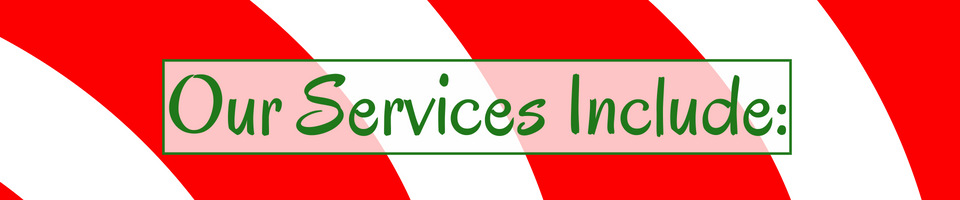 Text on red and green background: “Our Services Include:”