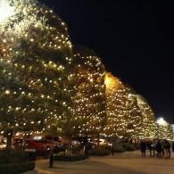 Large outdoor trees covered in warm white lights along a nighttime walkway with a few people nearby