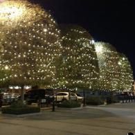 Tree-like light displays illuminating a nighttime plaza with parked cars and pedestrians