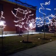 Small trees wrapped in white holiday lights along a sidewalk at dusk, with a brick building behind them