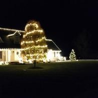House and tree decorated with warm white Christmas lights at night