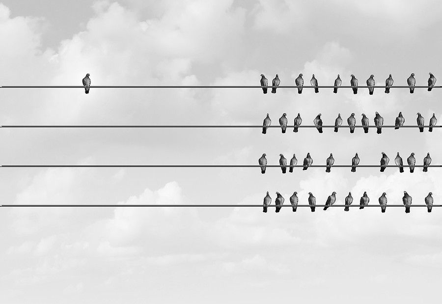 Thought Leadership Research: Data that Validates Impact and Tells You if You’re Doing It Right