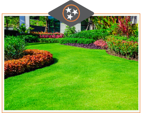 Green-Lawn