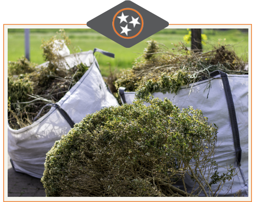 Yard-Cleanup