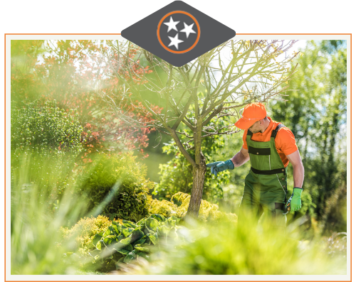 Tree-Care