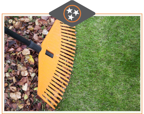 Leaf-Removal