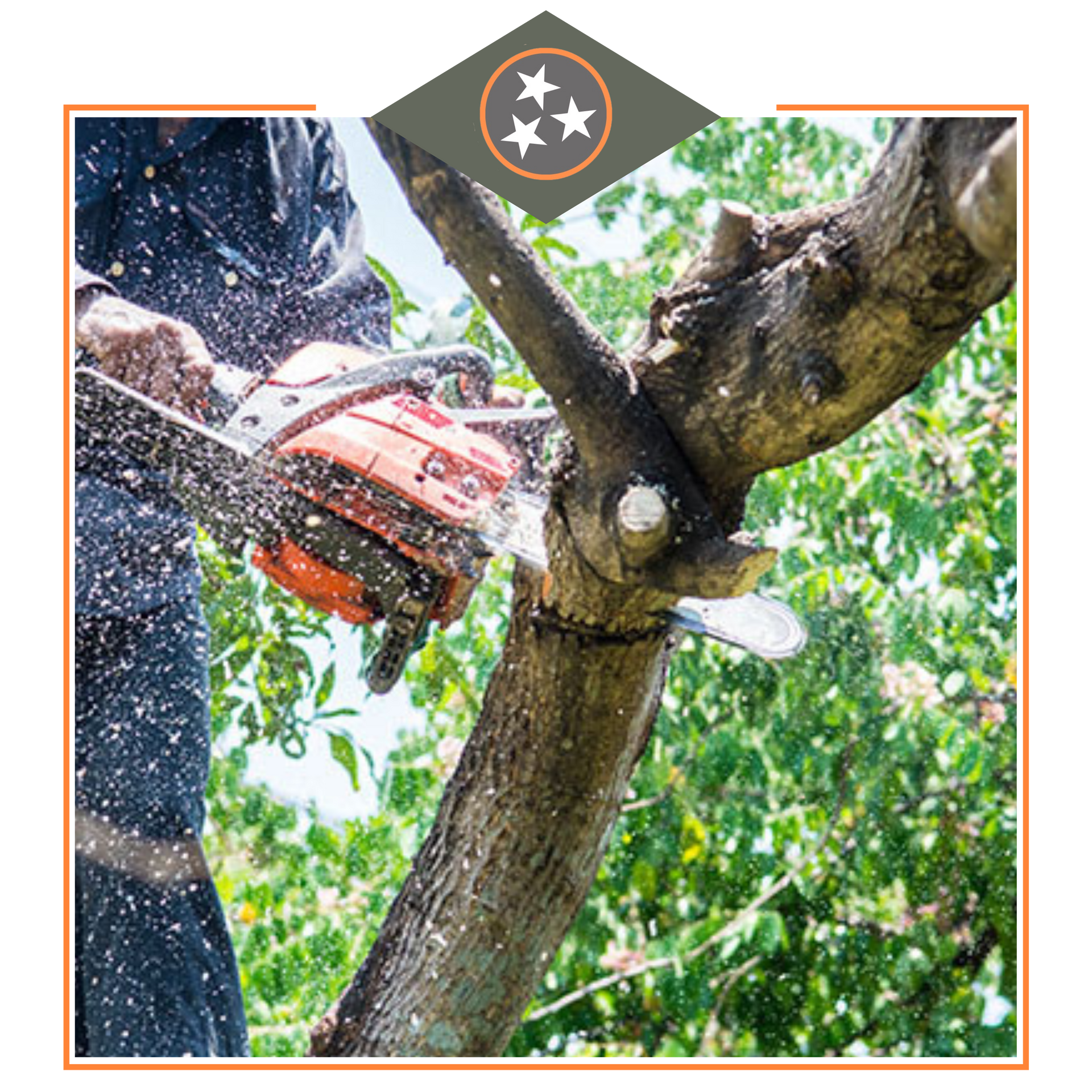 Tree-Care