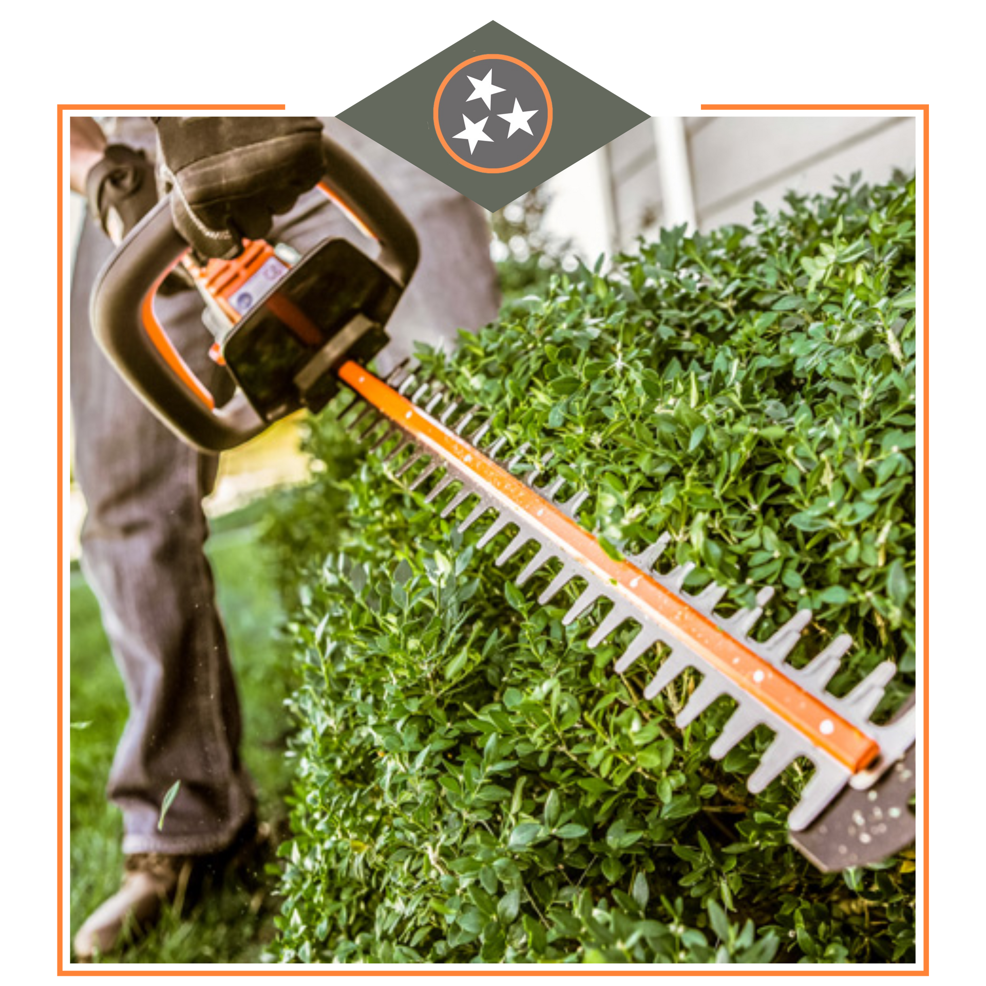 Trimming-Pruning