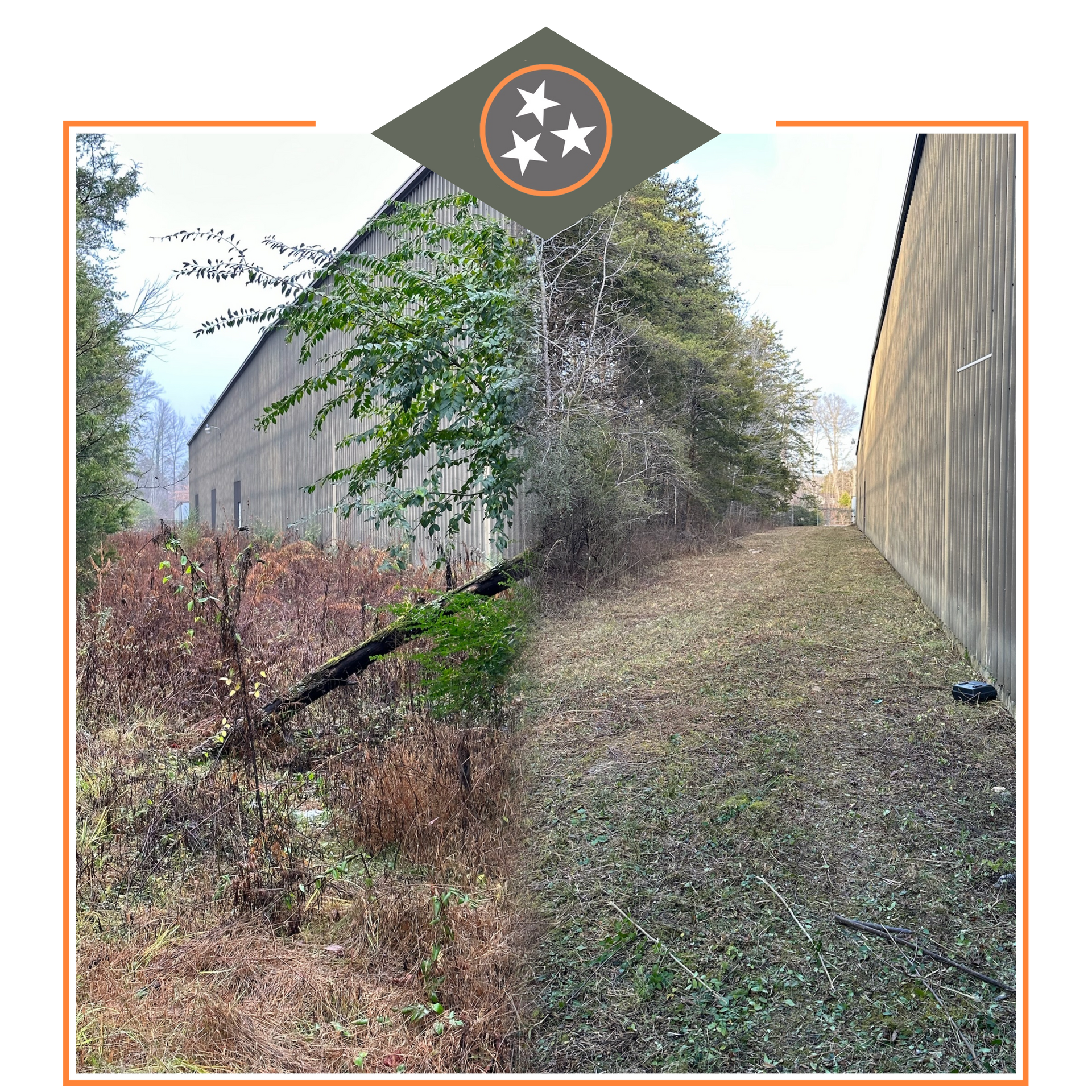 Yard-Cleanup