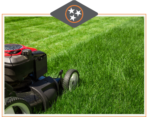 Lawncare-Cutting-Grass