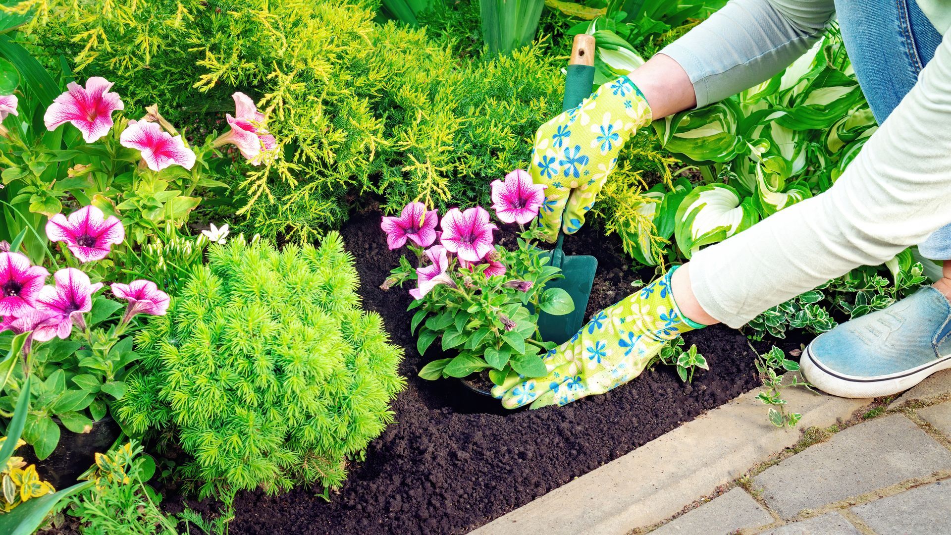 Hands planting flowers in a bright garden bed beside a walkway
