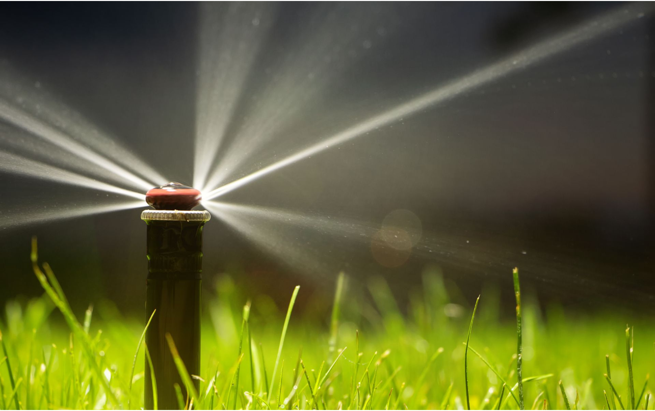 A sprinkler is spraying water on a lush green lawn.