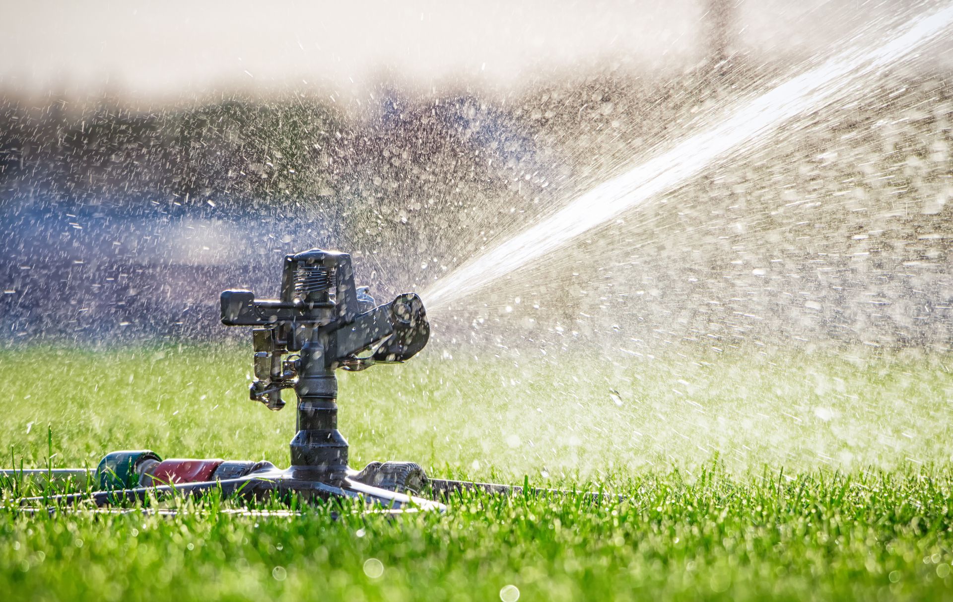 Sprinkler watering a green lawn in bright sunlight, with water spraying across the grass