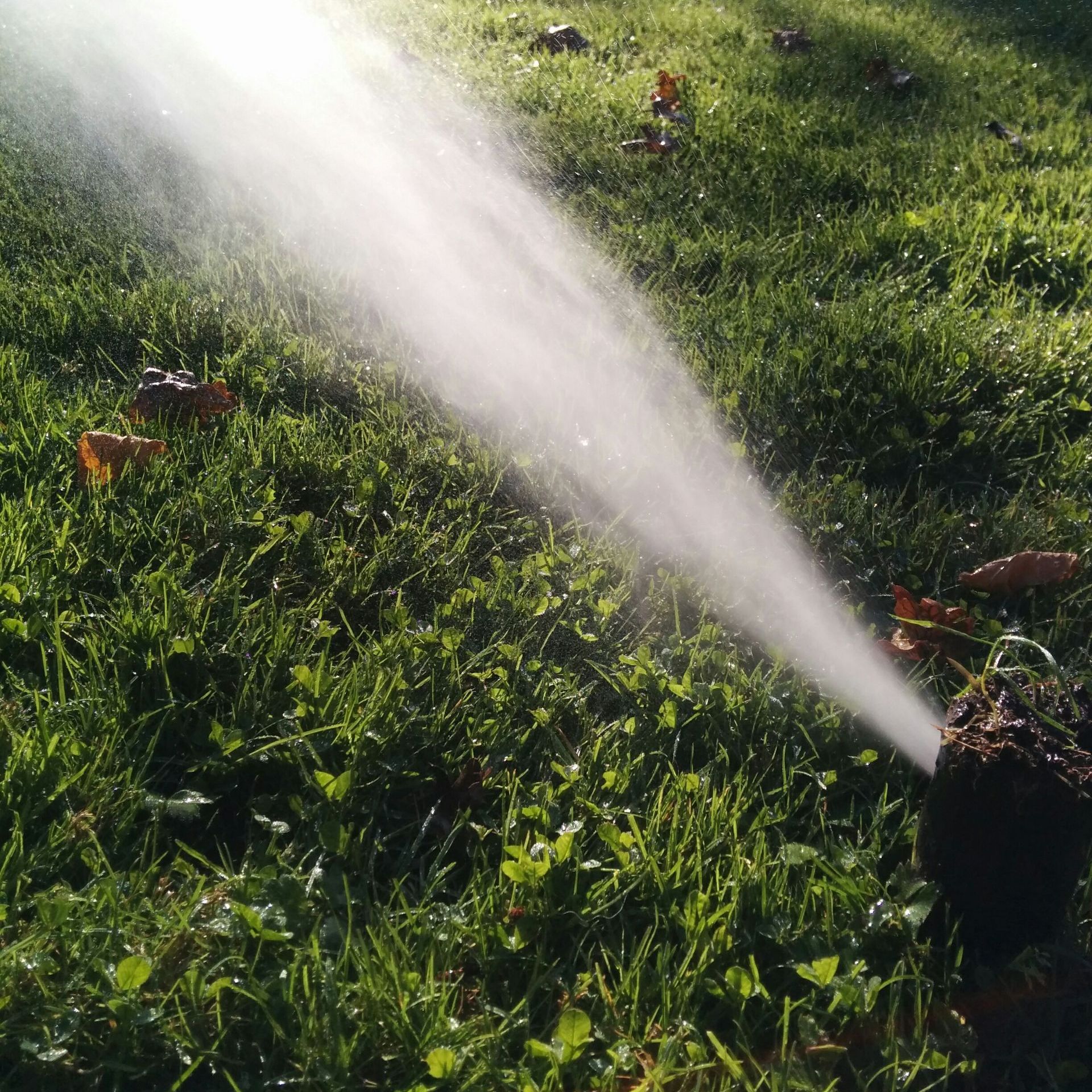 A sprinkler spraying water on a lush green field