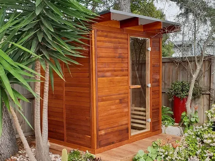 Small wooden garden shed with a glass door, surrounded by plants and trees.