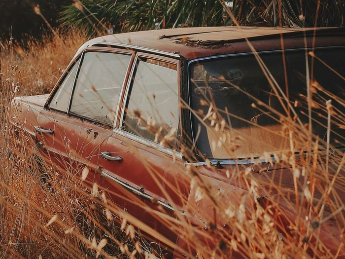 An old rusty car is parked in a field of tall grass.