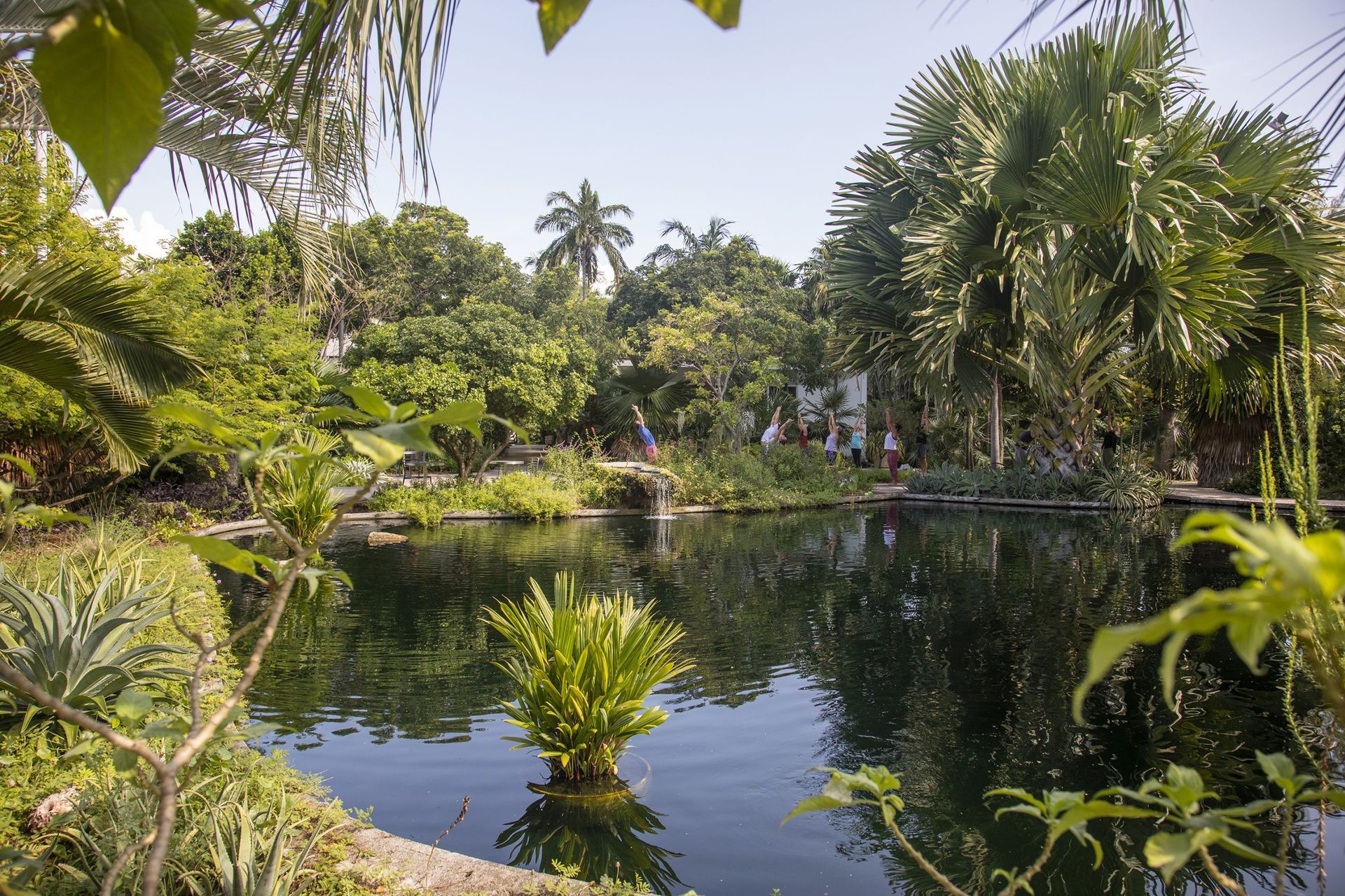 Miami Beach Botanical Garden