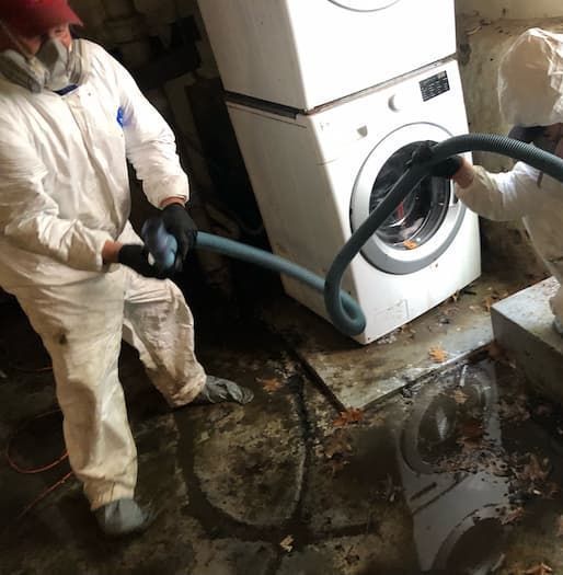image of sewage expert looking at a bathroom
