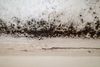 image of moldy wall