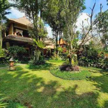 Retreat House Front — Marrickville, Sydney — Black Lotus Yoga