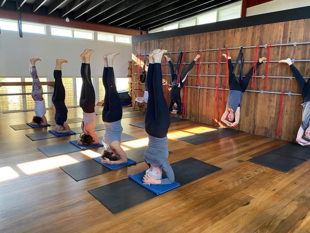 Yoga Upward Feet Exercise — Marrickville, Sydney — Black Lotus Yoga