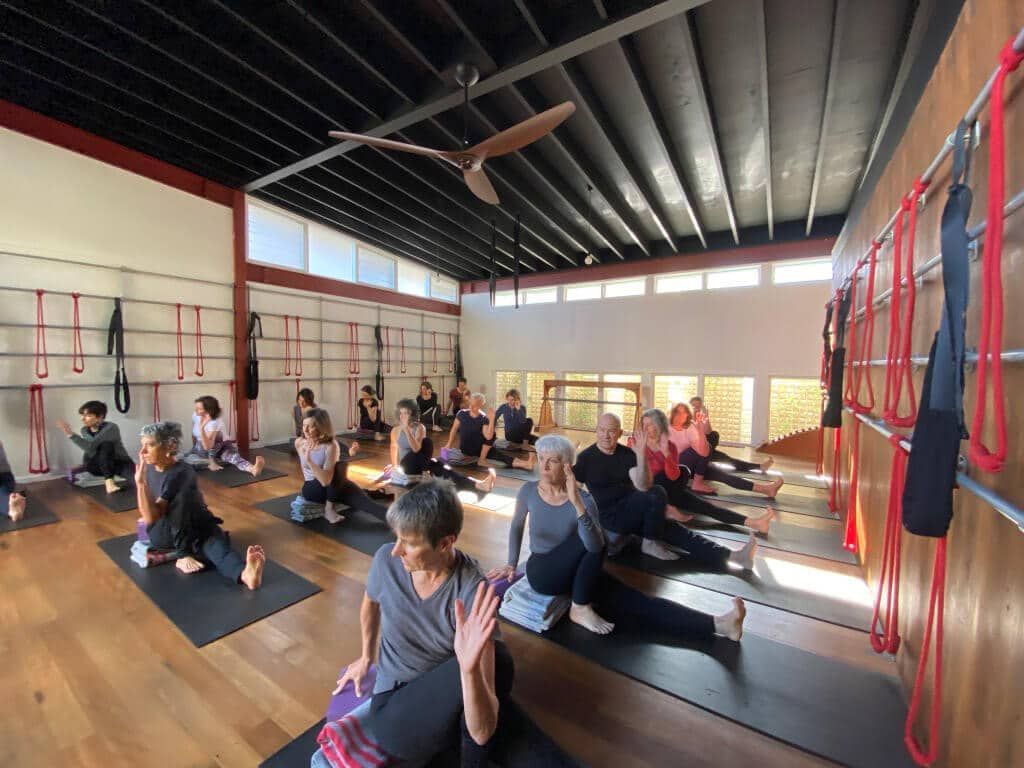 Black Lotus Yoga Students And Pet — Marrickville, Sydney — Black Lotus Yoga