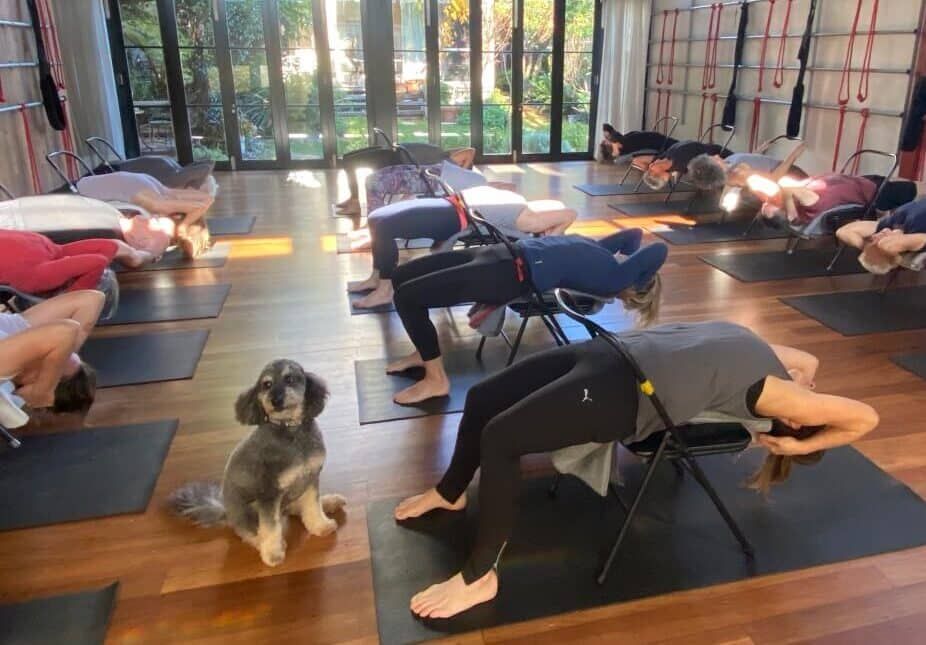 Yoga Students And Pet — Marrickville, Sydney — Black Lotus Yoga