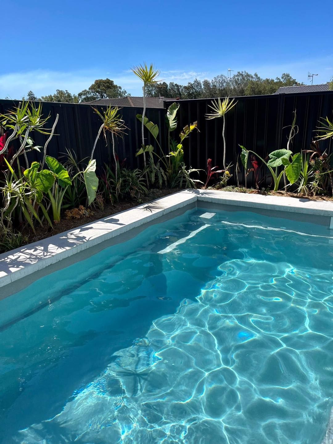 Pool With a Waterfall and Stone Coping, Adjacent to a Home. — Clearwater Pools Hallidays Point in Hallidays Point, NSW