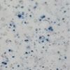 A Close up Of a White Surface with Blue Dots on It — Clearwater Pools Hallidays Point in Hallidays Point, NSW