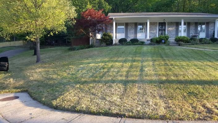 lawn care