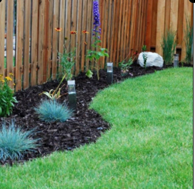 lawn care